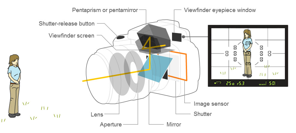 Basic Parts of DSLR Camera and Their Functions