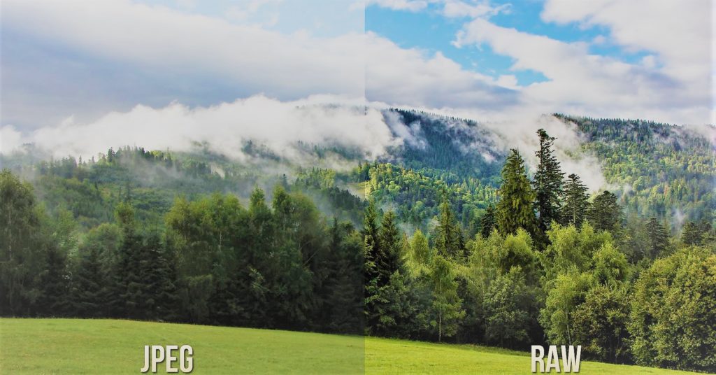 Beginners Journey From JPEG to RAW : Why You Should Be Shooting in RAW