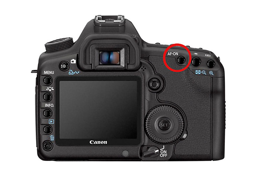 Back Button Focus Explained : Back Button Focus in Nikon and Canon